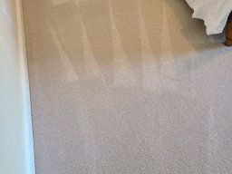 carpet cleaning 5